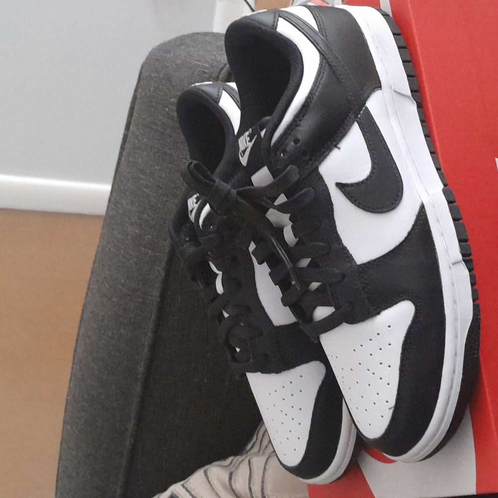 Nike Dunk Low Retro